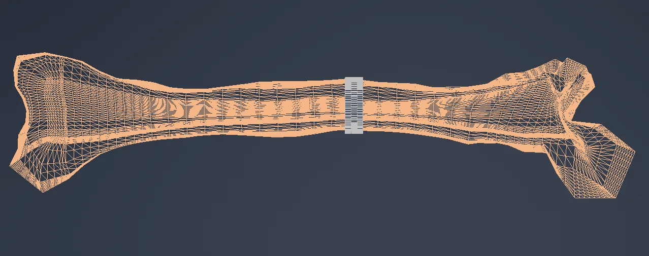 Wireframe femur model with a porous scaffold section at mid-shaft